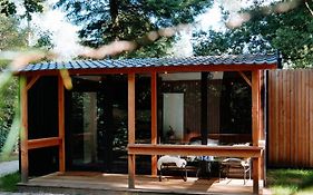 Forest Cabin In The Woods